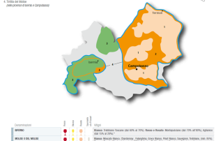 molise-doc-10